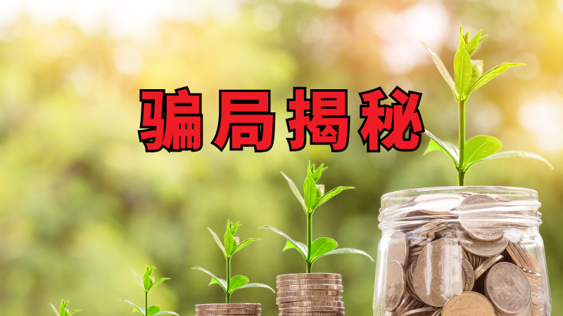 “优哩哩”停止提现,公司主体被吊销,25万人血本无归 “优哩哩”停止提现,公司主体被吊销,25万人血本无归